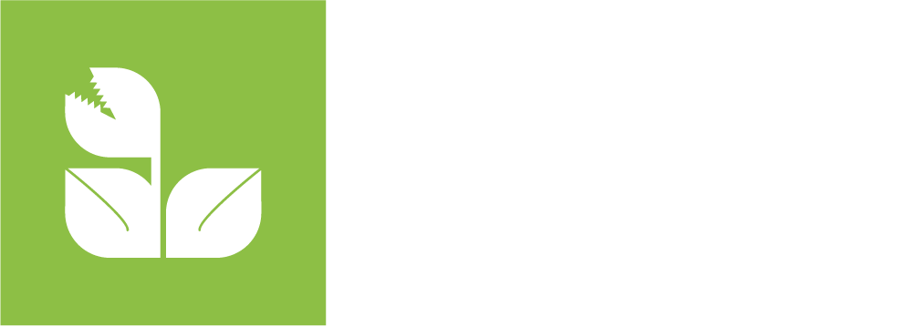 Lush Productions Logo